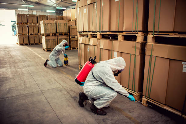 Best Affordable Pest Control Services  in Cross Plains, WI