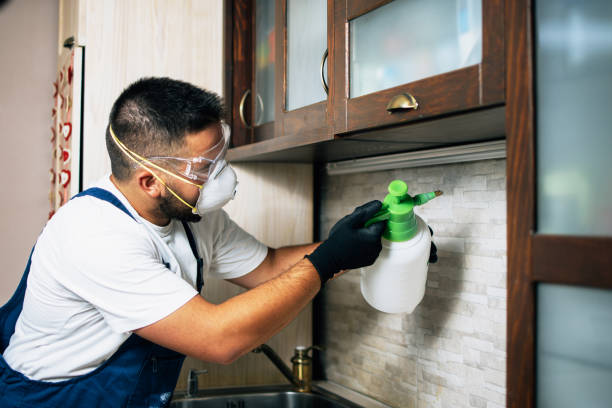 Best Exterminator Services  in Cross Plains, WI