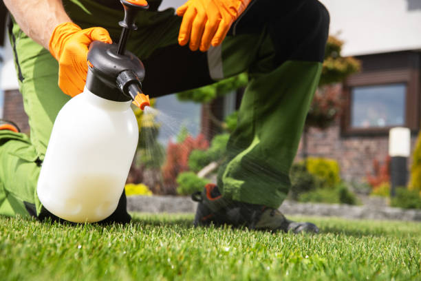 Professional Pest Control in Cross Plains, WI