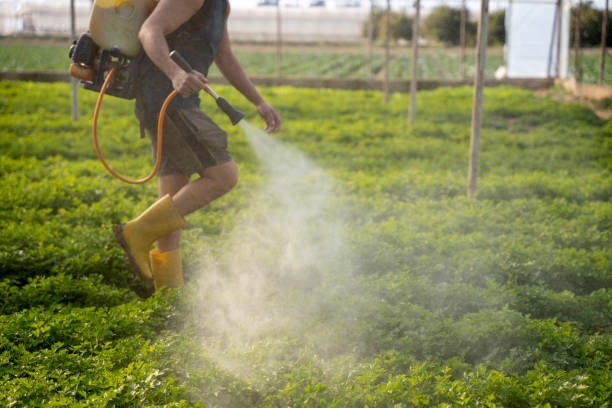 Best Best Pest Control Companies  in Cross Plains, WI