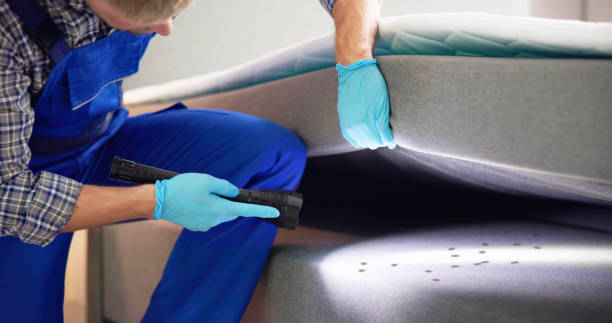 Best Bed Bug Extermination  in Cross Plains, WI