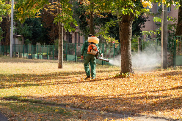 Best Flea Control Services  in Cross Plains, WI